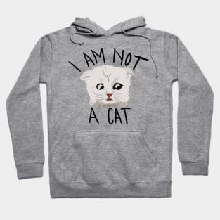 I Am Not A Cat Hoodie